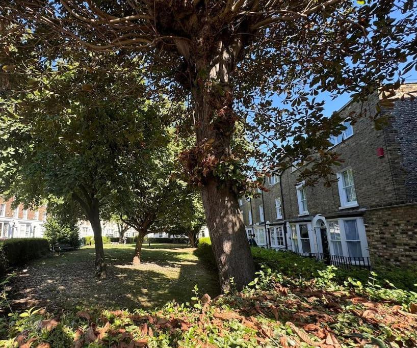 2 Bed Georgian Cottage, Ramsgate Eksteriør bilde